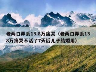 老两口弄丢13.8万痛哭（老两口弄丢138万痛哭不活了7天后儿子结婚用）