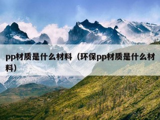 pp材质是什么材料（环保pp材质是什么材料）