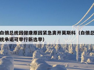 白俄总统因健康原因紧急离开莫斯科（白俄总统承诺可举行新选举）