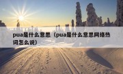 pua是什么意思（pua是什么意思网络热词怎么说）