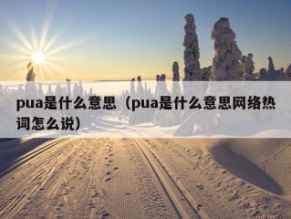 pua是什么意思（pua是什么意思网络热词怎么说）