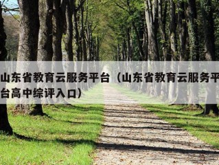 山东省教育云服务平台（山东省教育云服务平台高中综评入口）