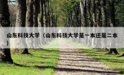 山东科技大学（山东科技大学是一本还是二本）