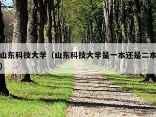 山东科技大学（山东科技大学是一本还是二本）