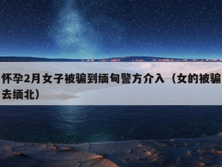 怀孕2月女子被骗到缅甸警方介入（女的被骗去缅北）