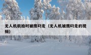 无人机航拍时被鹰叼走（无人机被鹰叼走的视频）