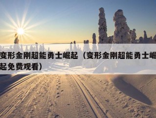 变形金刚超能勇士崛起（变形金刚超能勇士崛起免费观看）