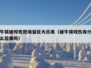 牛犊被咬死现场留巨大爪痕（被牛犊咬伤有什么后果吗）