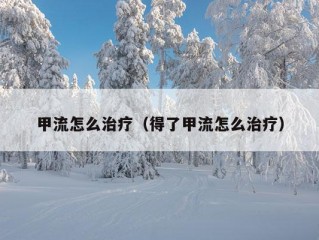 甲流怎么治疗（得了甲流怎么治疗）