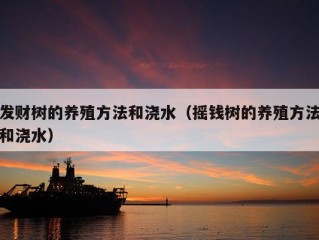 发财树的养殖方法和浇水（摇钱树的养殖方法和浇水）