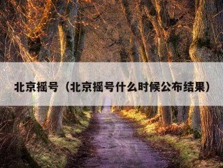 北京摇号（北京摇号什么时候公布结果）