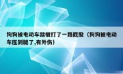 狗狗被电动车踏板打了一路屁股（狗狗被电动车压到腿了,有外伤）