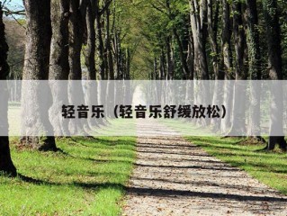 轻音乐（轻音乐舒缓放松）