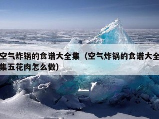 空气炸锅的食谱大全集（空气炸锅的食谱大全集五花肉怎么做）