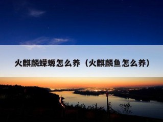 火麒麟蝾螈怎么养（火麒麟鱼怎么养）