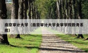 南京审计大学（南京审计大学金审学院教务系统）