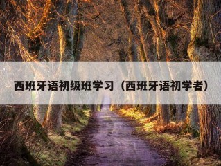 西班牙语初级班学习（西班牙语初学者）