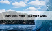 武汉财政局公开催债（武汉财政电话号码）