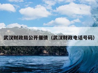 武汉财政局公开催债（武汉财政电话号码）