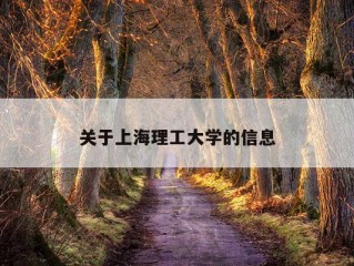 关于上海理工大学的信息