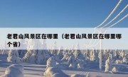 老君山风景区在哪里（老君山风景区在哪里哪个省）