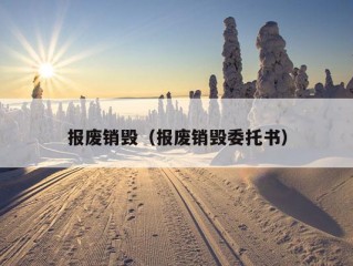 报废销毁（报废销毁委托书）