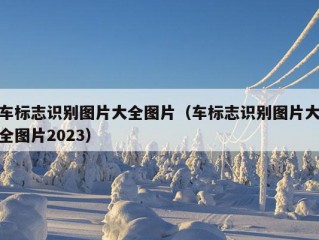 车标志识别图片大全图片（车标志识别图片大全图片2023）