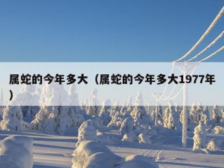 属蛇的今年多大（属蛇的今年多大1977年）