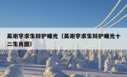 吴谢宇求生辩护曝光（吴谢宇求生辩护曝光十二生肖图）