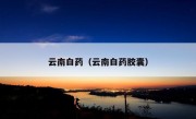 云南白药（云南白药胶囊）