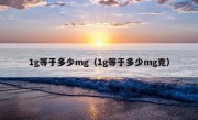 1g等于多少mg（1g等于多少mg克）