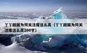 丫丫回国为何关注度这么高（丫丫回国为何关注度这么高200字）