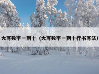 大写数字一到十（大写数字一到十行书写法）