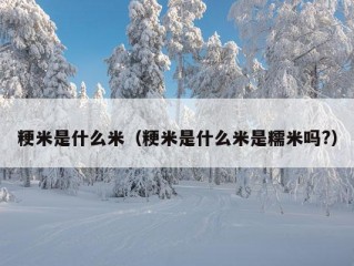 粳米是什么米（粳米是什么米是糯米吗?）