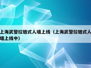 上海武警拉链式人墙上线（上海武警拉链式人墙上线中）