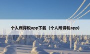 个人所得税app下载（个人所得税app）