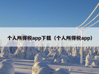 个人所得税app下载（个人所得税app）