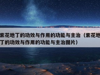 紫花地丁的功效与作用的功能与主治（紫花地丁的功效与作用的功能与主治图片）