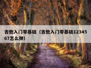 吉他入门零基础（吉他入门零基础1234567怎么弹）