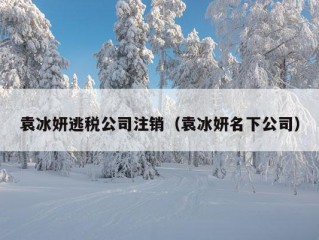 袁冰妍逃税公司注销（袁冰妍名下公司）