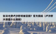 驻法大使卢沙野将被召回？官方回应（卢沙野大使是什么级别）