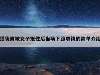 猥亵男被女子揪住后当场下跪求饶的简单介绍