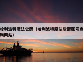 哈利波特魔法觉醒（哈利波特魔法觉醒账号查询网站）