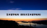 艺术留学机构（新东方艺术留学机构）