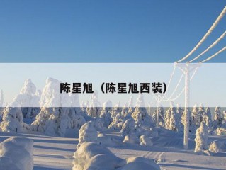 陈星旭（陈星旭西装）