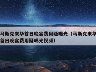 马斯克来华首日晚宴费用疑曝光（马斯克来华首日晚宴费用疑曝光视频）