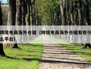 跨境电商海外仓储（跨境电商海外仓储有些什么平台）