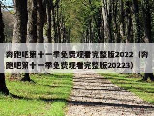 奔跑吧第十一季免费观看完整版2022（奔跑吧第十一季免费观看完整版20223）