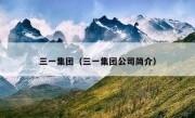 三一集团（三一集团公司简介）