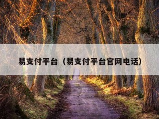 易支付平台（易支付平台官网电话）